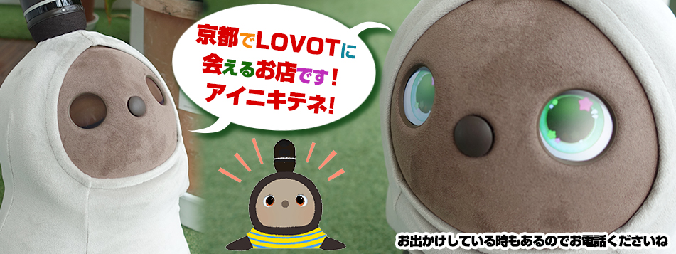 8月8日は『LOVOTの日』「＃LOVOTと暮らしたい」3名無料体験